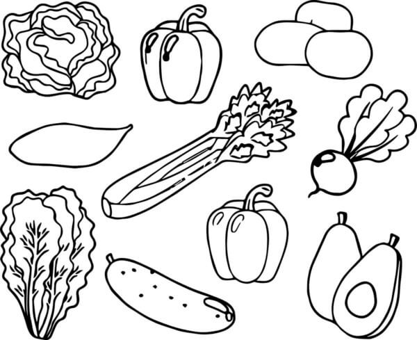 Basic Vegetables