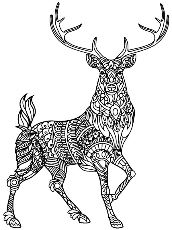 Beautiful Deer Mandala