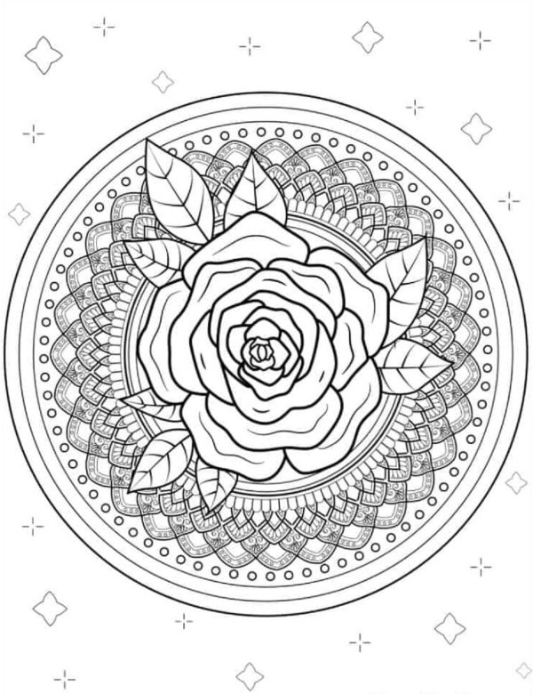 Beautiful Rose Mandala