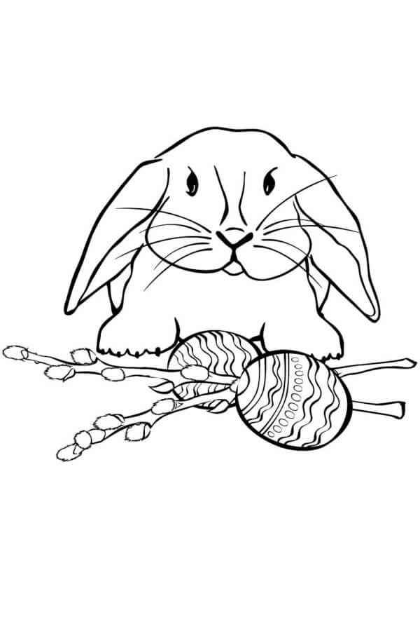 Bunny With Willow And Chocolate Eggs