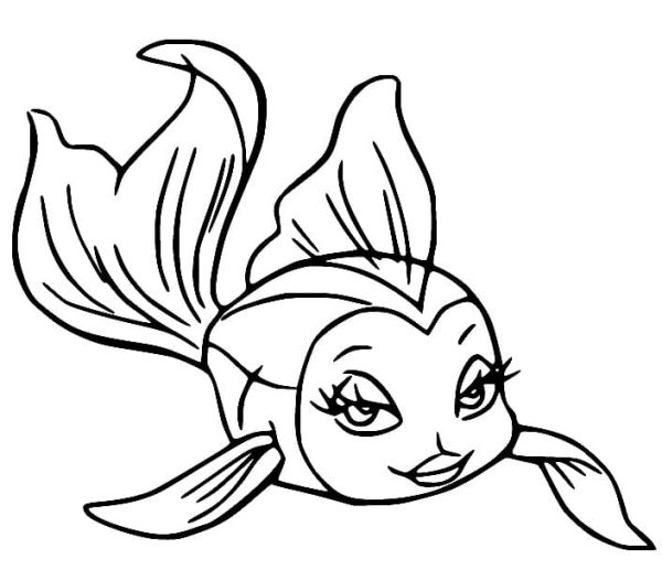 Cleo Goldfish from Pinocchio