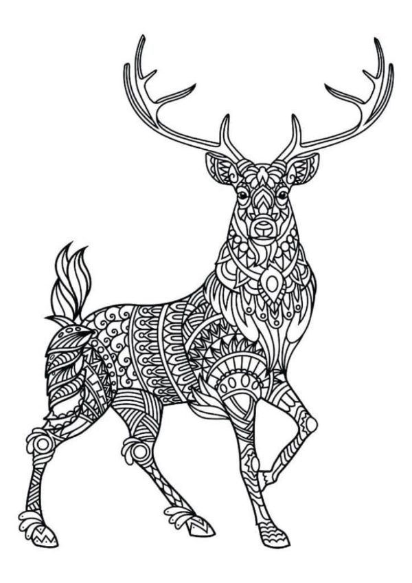 Cool Deer Standing Mandala