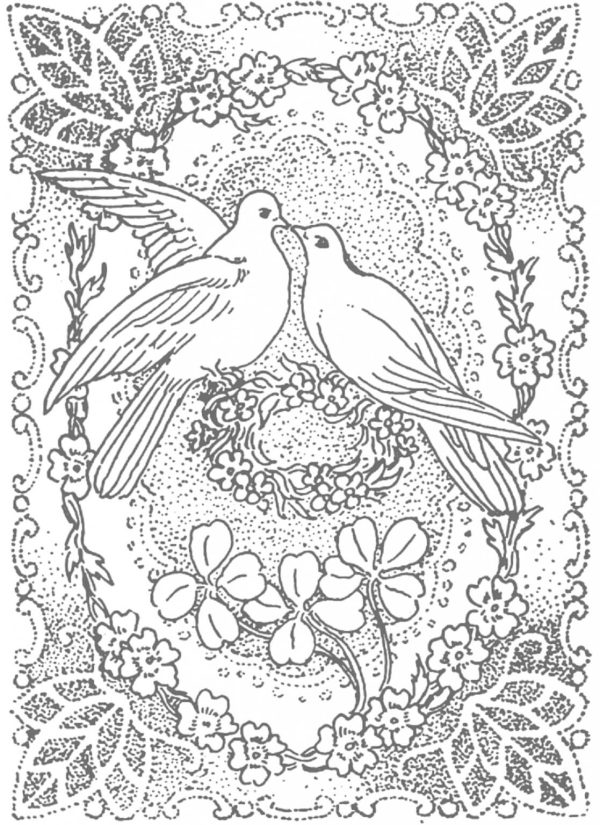 Couple Pigeon Mandala