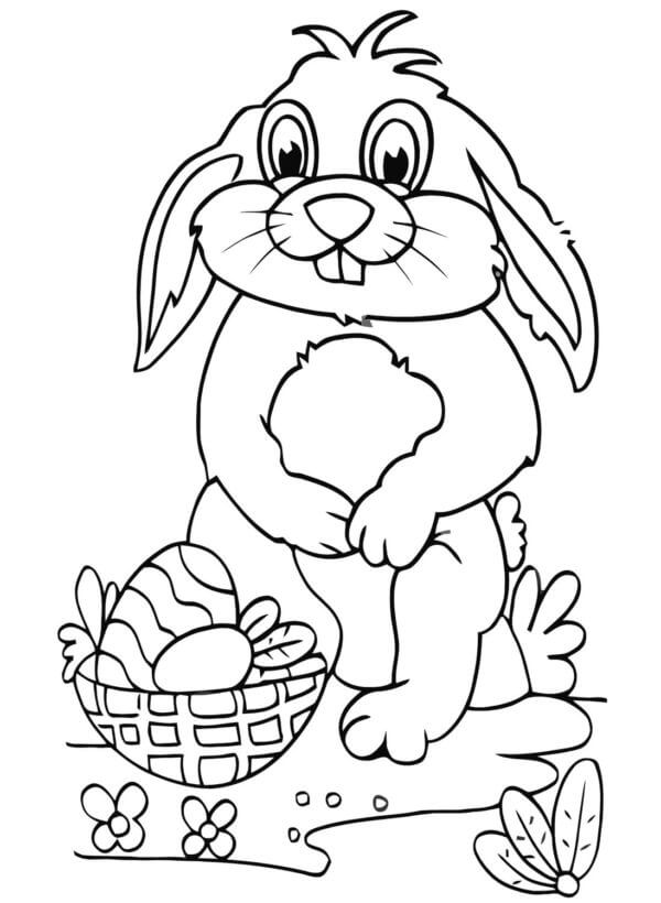 Cute Rabbit With Basket Easter Eggs