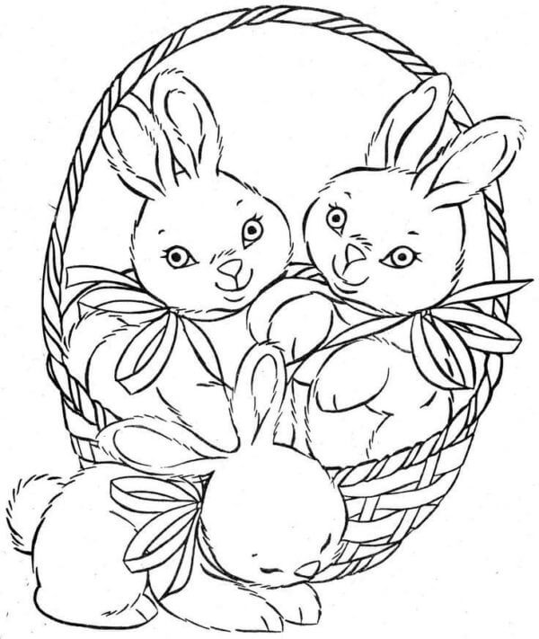 Easter Bunnies in a Basket Instead Of Eggs