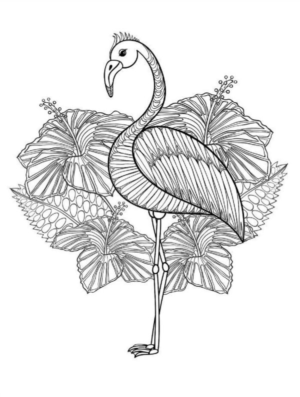 Flamingo With Leaves Mandala