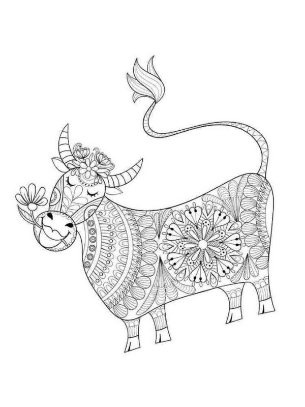 Funny Cow With Flower Mandala