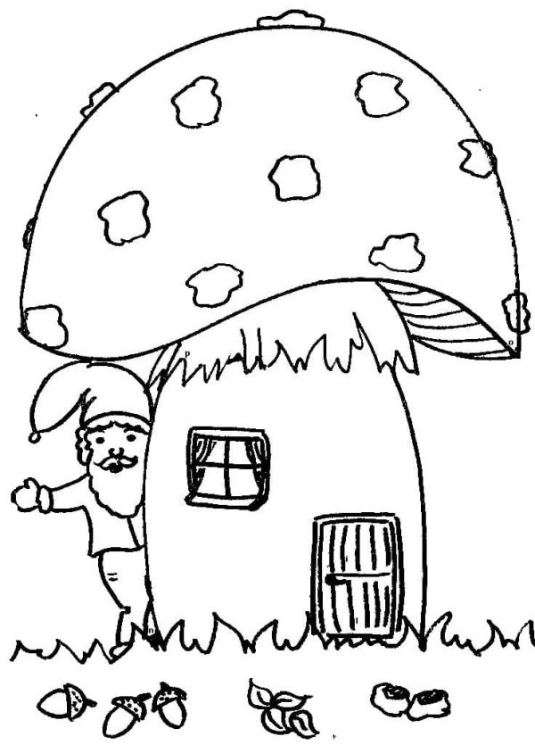Gnome and House