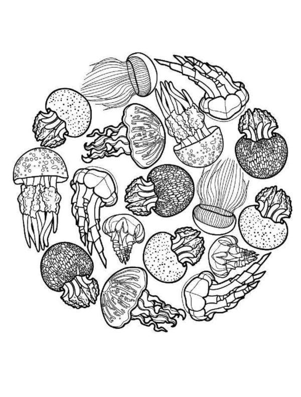 Jellyfishs Mandala