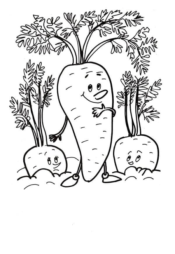 Mom Carrot And Her Children