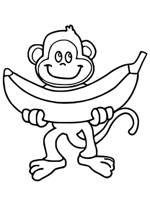 Monkey Holding Banana