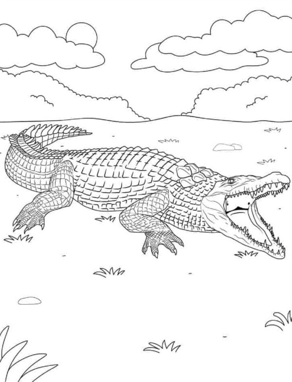 Normal Crocodile Mandala