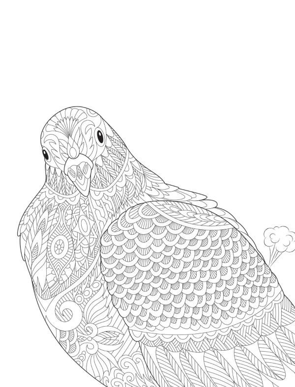 Portrait of Pigeon Mandala