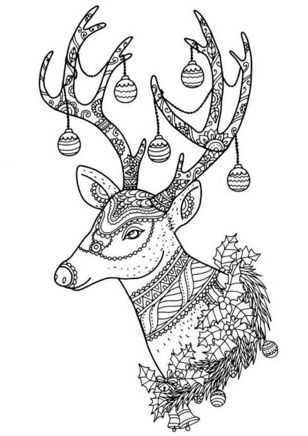 Portrait of Reindeer Mandala