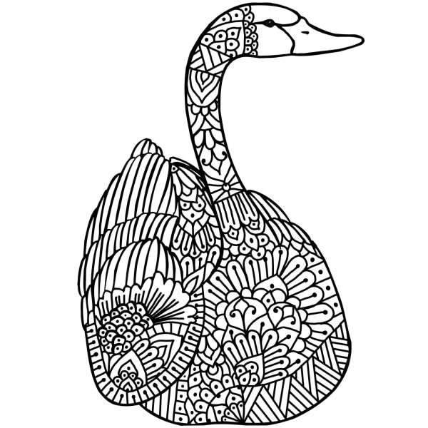 Simple Swan Mandala