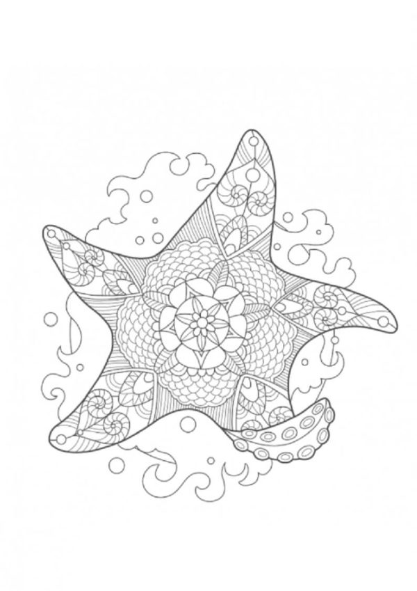 Starfish in Summer Mandala