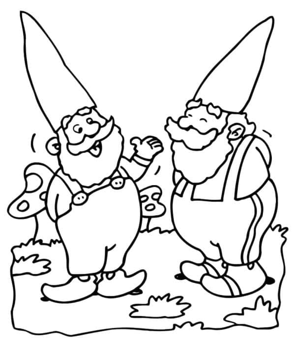 Two Gnomes