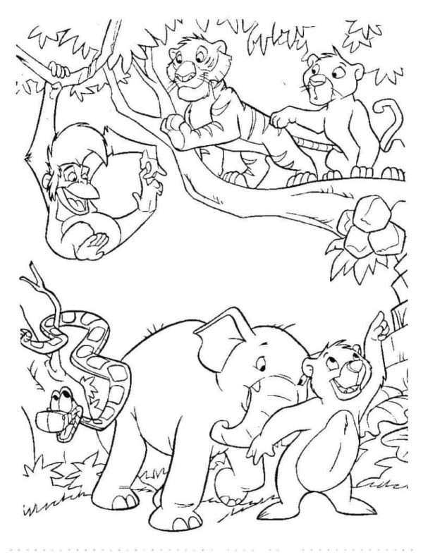 Cartoon Jungle Animals