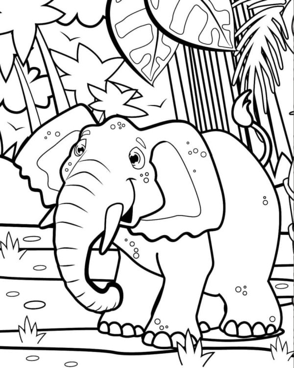 Cute Jungle Elephant