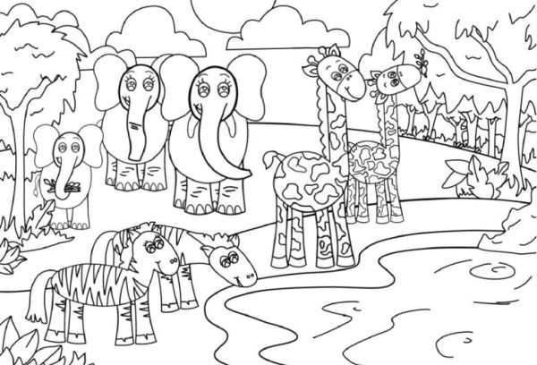 Jungle Animals and the River