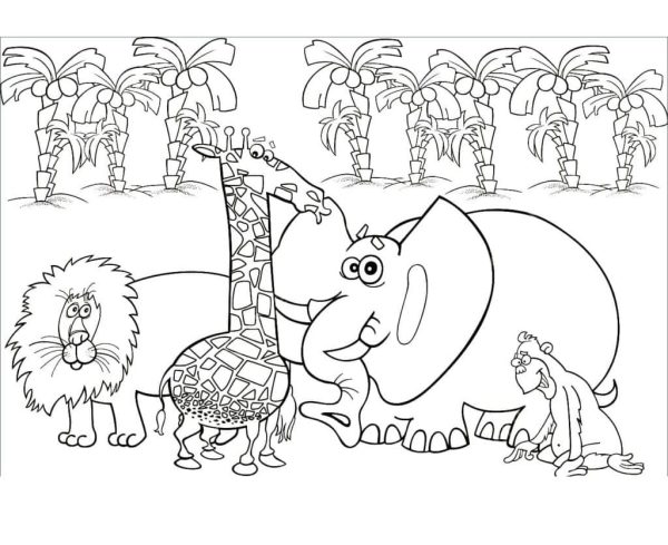 Jungle Animals For Kids