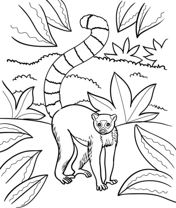 Jungle Lemur