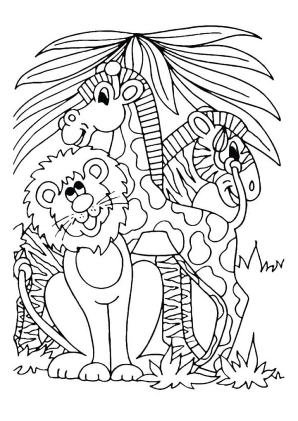Lion, Giraffe and Zebra in the Jungle