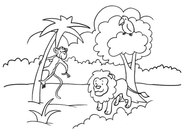Monkey, Lion and Parrot in the Jungle