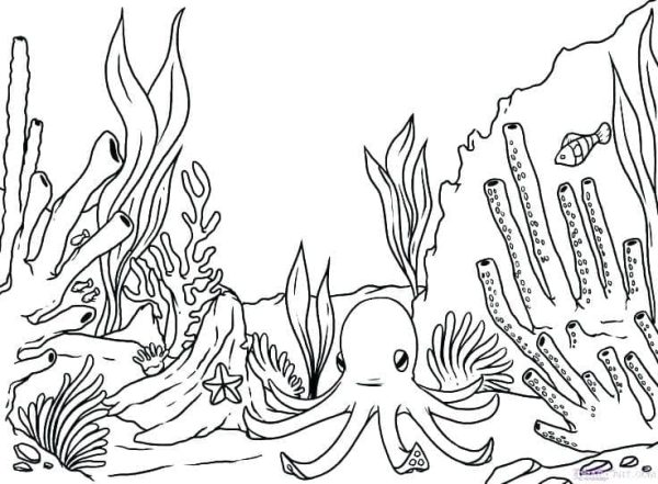 Octopus Under the Sea