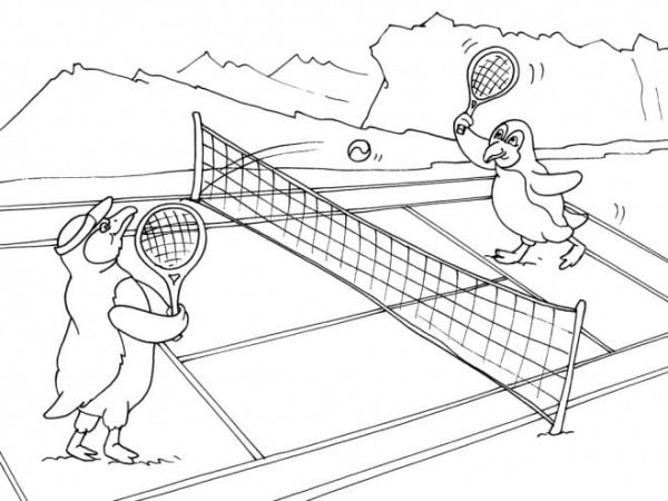 Penguin Are Playing Tennis