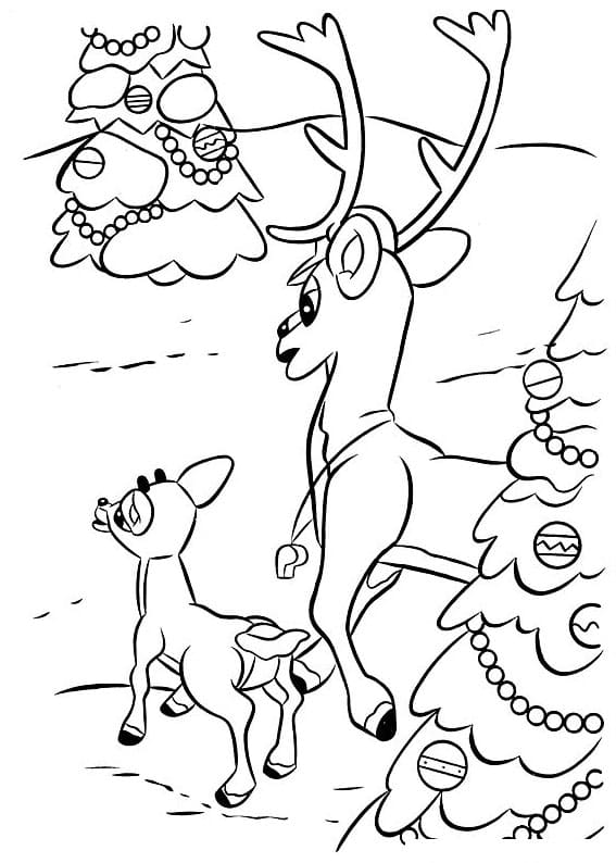 Rudolph and Coach