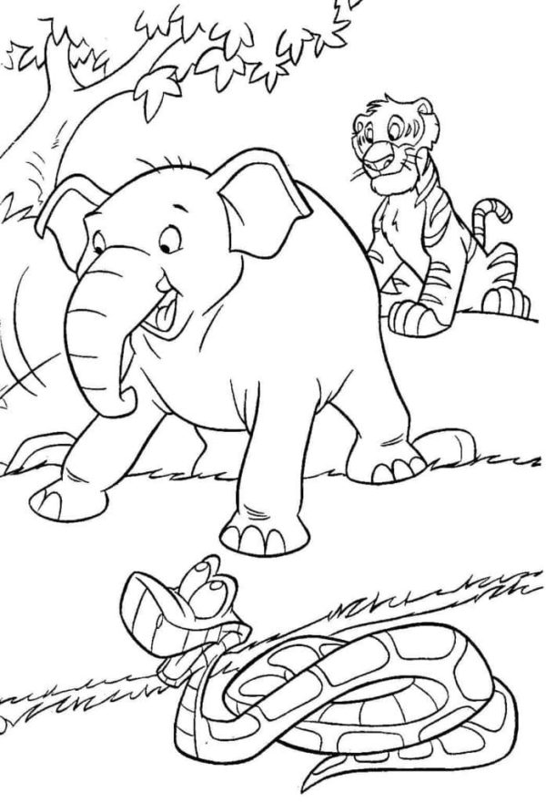 Snake, Elephant and Tiger in the Jungle